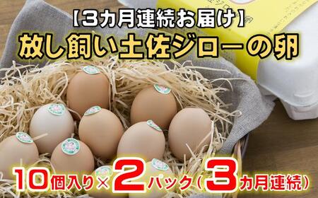 【3カ月連続お届け】放し飼い土佐ジローの卵　20個入り［(H)1238］