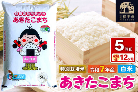 令和7年産【白米】《定期便12ヶ月》特別栽培米 あきたこまち 5kg 秋田県 横手市