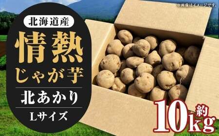 【先行受付】北海道産 情熱じゃが芋（北あかり） Lサイズ 計約10kg 株式会社マルエイ商事 じゃがいも じゃが芋 ジャガイモ 芋 いも イモ 国産【2026年10月下旬～2026年12月上旬迄発送予定】