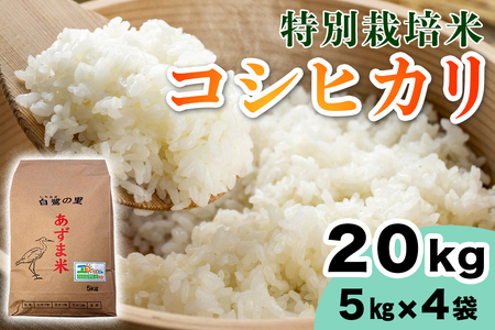 【令和7年産】特別栽培米 コシヒカリ 20kg (5kg×4袋) [1909]