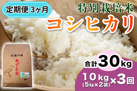 【定期便／3ヶ月 令和7年産】特別栽培米 コシヒカリ 10kg (5kg×2袋)×3回 [1908]