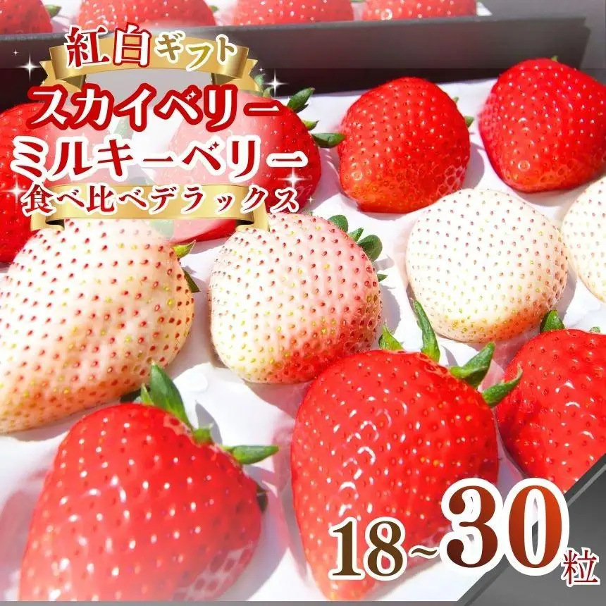 スカイベリー ミルキーベリー 食べ比べDX 約18～30粒【2027年1月以降発送】ギフト 贈答 |いちご 苺 フルーツ 果物  澳原いちご農園 栃木県 矢板市