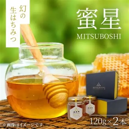【蜜星】幻の生はちみつ(120g×2本)【1683402】