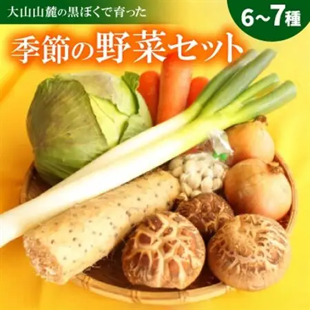 季節の野菜セット(6～7種)【配送不可地域：離島】【1684547】