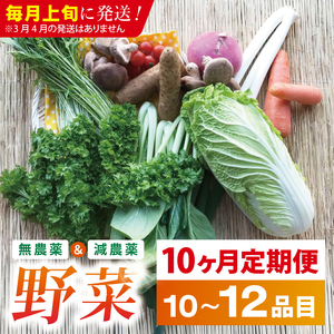 【10ヶ月定期便】★毎月上旬発送★身体が喜ぶ季節の野菜 10～12品目｜野菜 やさい 野菜セット セット 詰め合わせ おまかせ 定期便 野菜定期便 茨城県 行方市(BI-110)