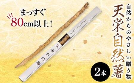 自然からのやさしい贈り物 天栄自然薯2本 贈答用にも 山芋 芋 イモ 根菜 福島県 天栄村 F21T-462