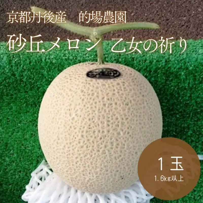 【先行予約】京都丹後久美浜産　砂丘メロン【オトメの祈り】　2Lサイズ／1玉入（2026年7月中旬～発送）