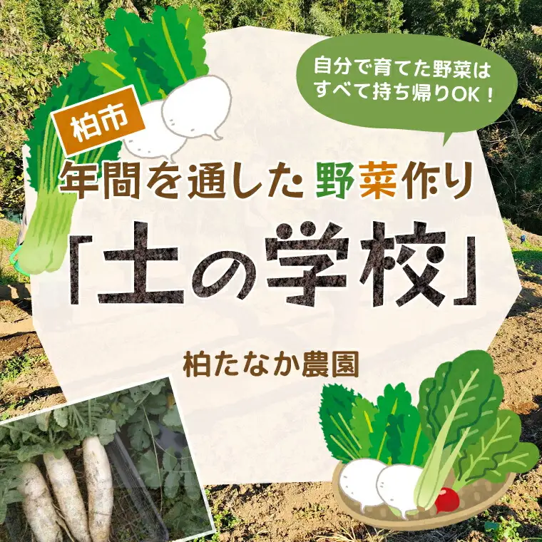 年間を通した野菜作り「土の学校」（1組5名まで） 〈 学び 食育 収穫 農業 野菜 子供 親子 農作物 ふるさと納税 柏 〉