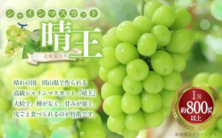 シャインマスカット 晴王 1房（800g以上） 化粧箱入り 【2026年8月下旬～11月上旬迄発送予定】 ぶどう ブドウ 葡萄 マスカット 種なし 果物 くだもの フルーツ 冷蔵 国産