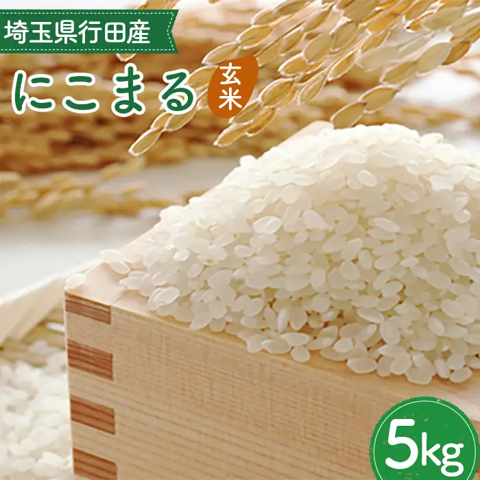 埼玉県行田産にこまる（玄米）5kg×1 ／ にこまる 玄米 5kg 特別栽培米 大粒 米 甘み 粘り 冷めても美味しい お弁当 おにぎり 毎日食べる米 健康志向 食感 粒立ち 埼玉県 No.518