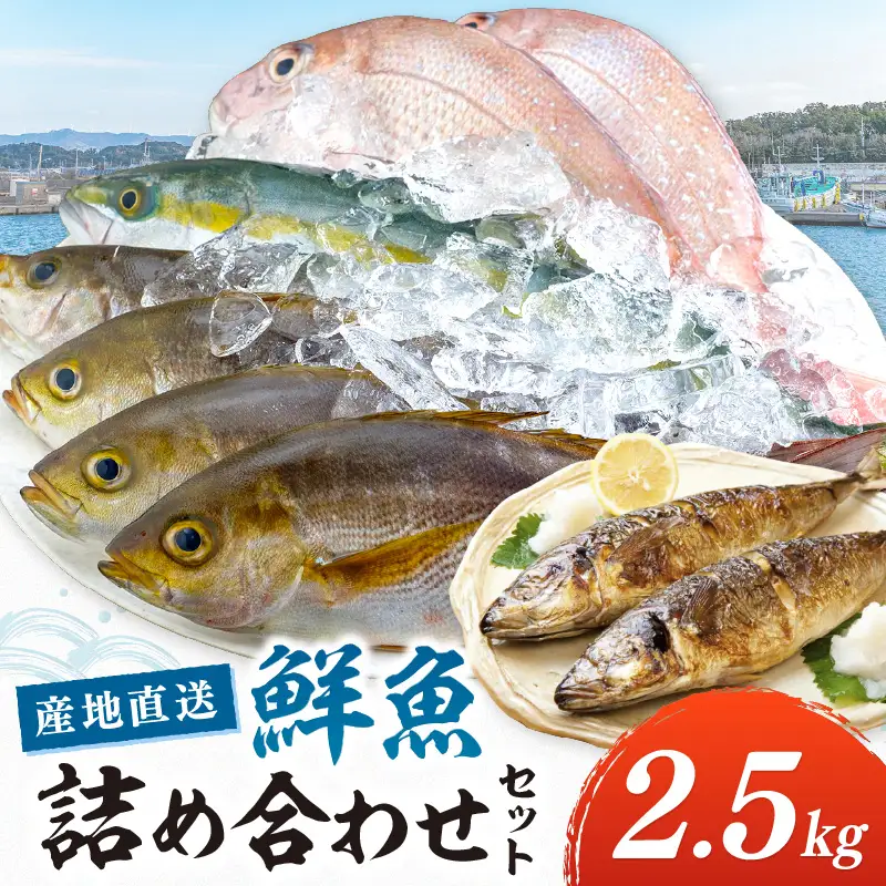 【0007-3】御坊産 鮮魚セット2.5kg 鮮魚