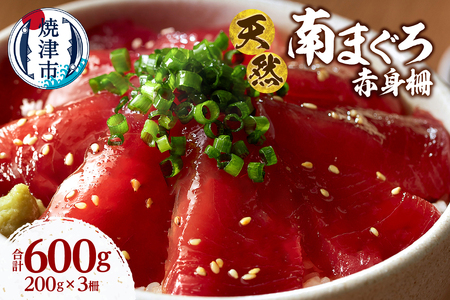 a16-200　天然 ミナミマグロ 赤身 柵 刺身 焼津 海の極 計600g 200g×3
