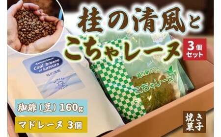 珈琲とこちゃレーヌ3個セット【桂の清風(豆)】(AF092)