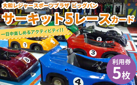 サーキット 5レースカード×5枚セット 大和レジャー スポーツプラザ ビッグバン 室内サーキット スリックカート ドリフト走行 チケット 利用券 室内 スポーツ アミューズメント 神奈川県 大和市 送料無料