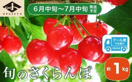 旬のさくらんぼ 佐藤錦、紅秀峰、紅佐藤、紅香、サミット 約1kg［小布施屋］サクランボ くだもの 果物 フルーツ チェリー バラ詰め 長野県産 信州産 数量限定 令和8年産【2026年6月中旬～7月中旬発送】[B-1]