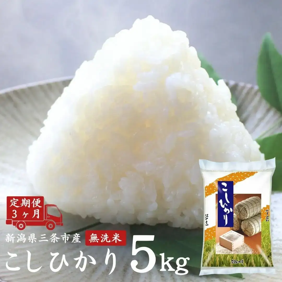 定期便5kg×3カ月 無洗米コシヒカリ 計15kg 新潟県 三条市産 こしひかり 令和7年産 外山敏雄商店