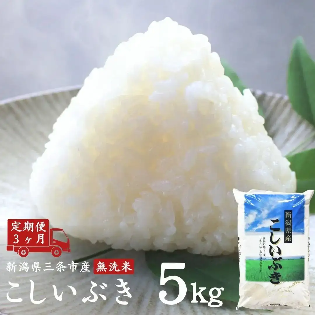 定期便5kg×3カ月 無洗米こしいぶき 計15kg 新潟県 三条市産 令和7年産 外山敏雄商店