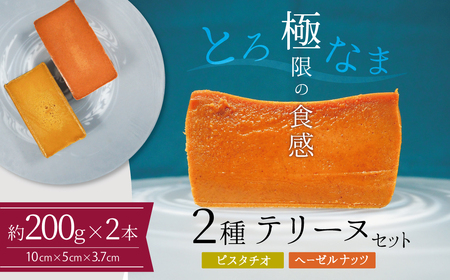 【テリーヌ専門店L】（約２００g）ピスタチオ・ヘーゼルナッツの2種のテリーヌセット【グルテンフリー・保存料不使用】ピスタチオ ナッツ ホワイトチョコ スイーツ デザート フレンチ H173-061