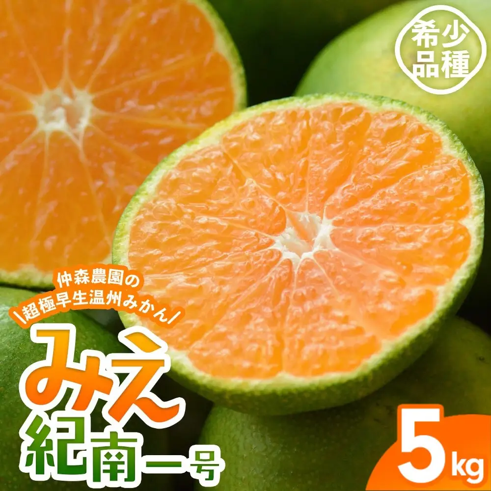 みかん 超極早生温州みかん みえ紀南一号 約5kg【nkmr0012】