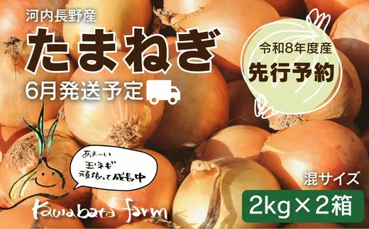 【令和8年度産玉ねぎ先行予約】玉ねぎ 2kg×2箱 ※6月より発送予定