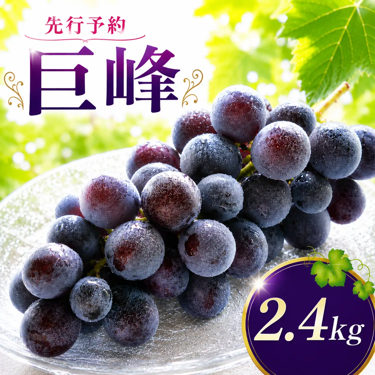 柳川市産 巨峰 約2.4kg【2026年8月発送】014-2730x1 巨峰 フルーツ