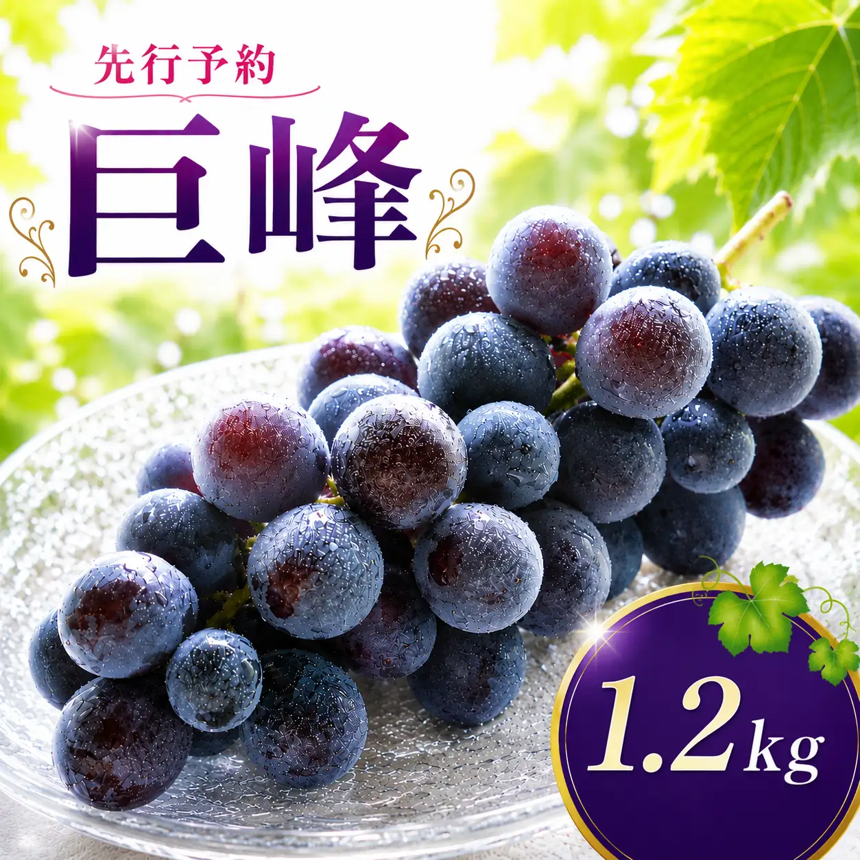 巨峰 300g×4パック 合計約1.2kg【2026年8月下旬から9月上旬迄発送予定】 ｜巨峰 ぶどう 014-2738x1