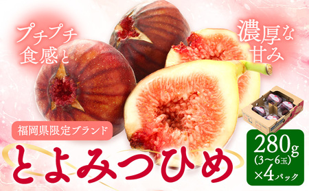 いちじく 無花果 とよみつひめ 280g×4パック《8月中旬-10月中旬頃出荷》福岡県 小竹町 福岡県産 いちじく フルーツ 果物