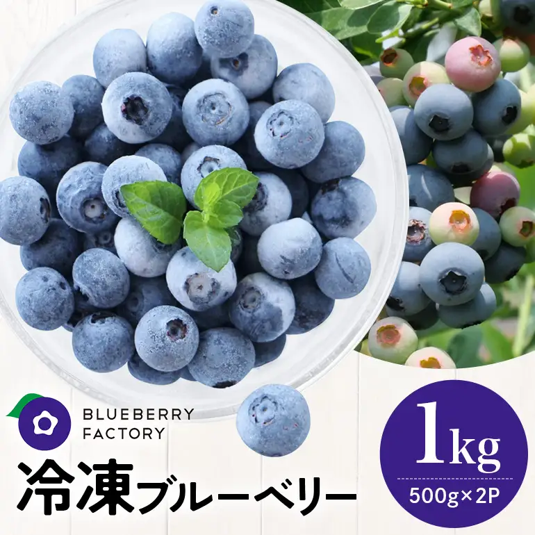 冷凍ブルーベリー＜真空パック保存＞1kgパック(500g×2P) A16-012