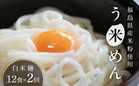 【2か月定期便】グルテンフリー 米粉で作った麺「う米めん」12食入り×2回 F21T-453