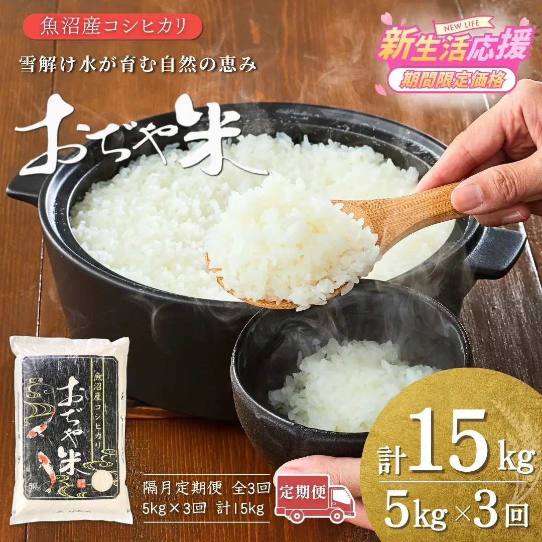 魚沼産コシヒカリ 令和7年 定期便 「おぢや米」 15kg（5キロ×3回）| 特A 新潟県 小千谷市 魚沼地域