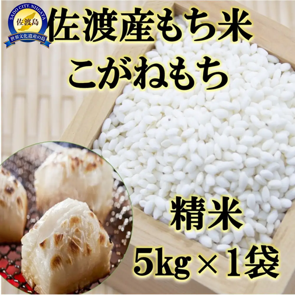 【令和7年産】佐渡産もち米 こがねもち 精米5kg×1袋