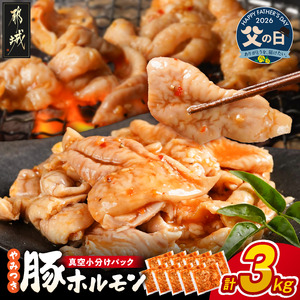 【父の日】やみつき豚ホルモン!3kg!真空小分けパック!≪6月18日～21日お届け≫〔LG8-3303-FG〕_(都城市) 国産 味付き 300g×10P 豚肉