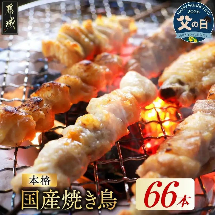 【父の日】職人串打ちの本格焼き鳥66本!!≪6月18日～21日お届け≫〔MJE-33-014-66-FG〕_(都城市) 焼鳥串 生冷凍串 冷凍生肉 もも 皮 手羽 小肉 砂肝 ぼんじり ねぎま ハラミ ささみ せせり つくね ふりそで 6本入り 11P 計2.1kg やきとり 焼き鳥 BBQ 鶏肉 国産 小分け 父の日