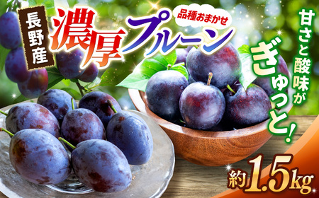 【先行受付】信州松本平産プルーン 約1.5kg 品種おまかせ