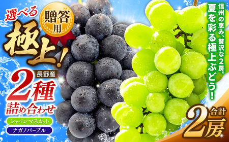 【先行予約】贈答用 信州産 葡萄【詰み合わせ】2房 【シャインマスカット、ナガノパープル】