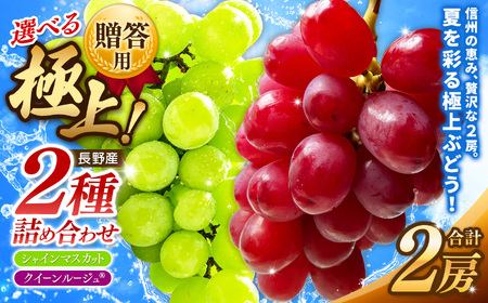 【先行予約】贈答用 信州産 葡萄【詰み合わせ】 2房 【シャインマスカット、クイーンルージュⓇ】