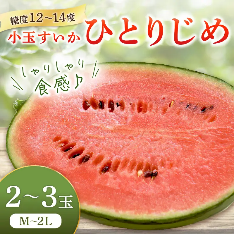 【0060-5】小玉すいか(ひとりじめ)2～3玉 和歌山産《先行予約》【2026年6月上旬頃から順次発送予定】