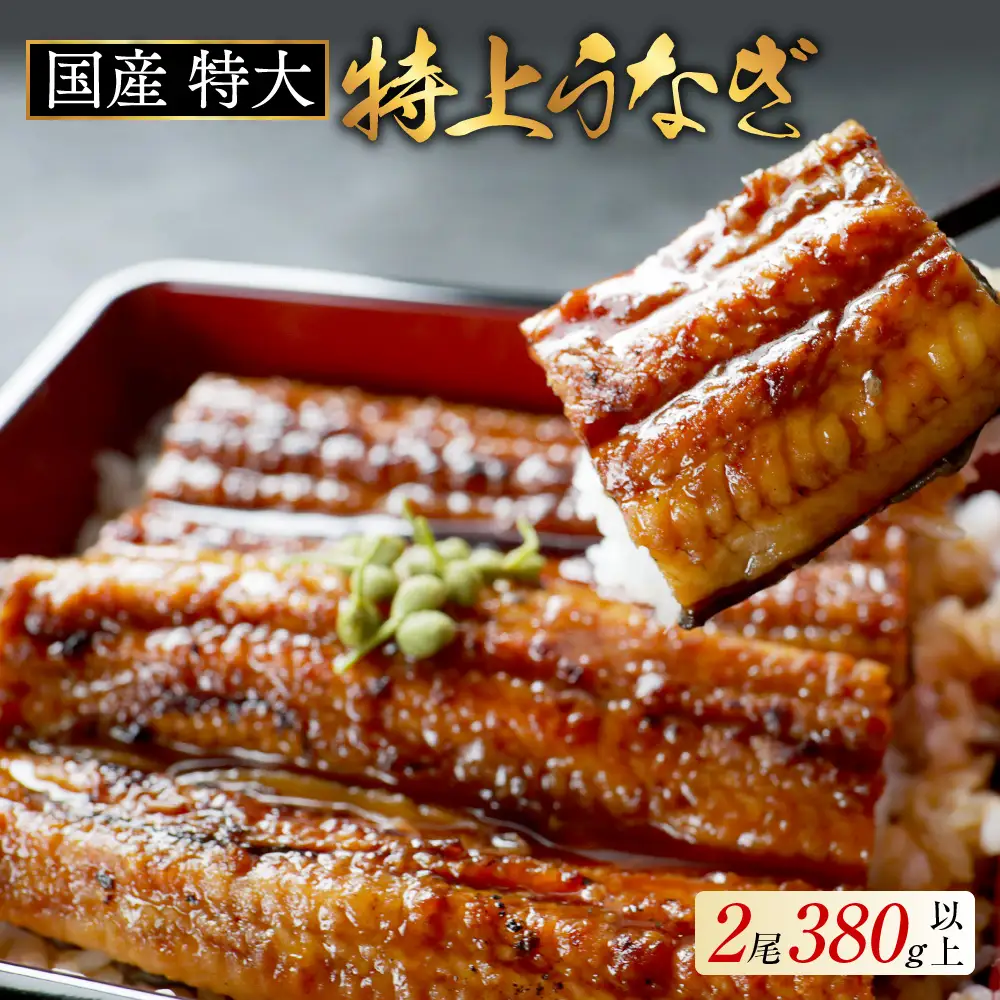 国産　特大　特上うなぎ 2尾 合計 380g 以上