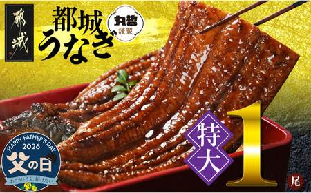 【父の日】宮崎県育ちの【特大】うなぎ蒲焼1尾210g以上≪山椒・たれ付≫≪6月18日～21日お届け≫〔11-M301-FG〕_(都城市)  特大うなぎ蒲焼(有頭) 宮崎県産 真空 山椒・たれ付