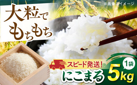 【令和7年産】【スピード発送】にこまる  白米 5kg(5キロ)  糸島市 / 糸島の恵み[AGR001] お米