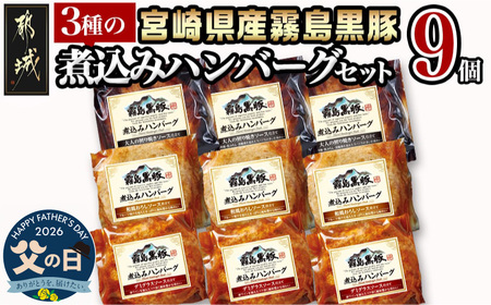 【父の日】霧島黒豚 3種の煮込みハンバーグギフト (デミグラスソース仕立て・和風おろしソース仕立て・大人の照焼きソース仕立て)≪6月18日～21日お届け≫〔AA-2804-FG〕_(都城市) 都城産 霧島黒豚 おかず ハンバーグ 父の日 簡単