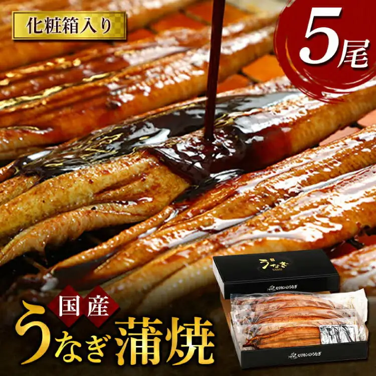 うなぎ 国産 うなぎ蒲焼き 5尾 [モリカン 徳島県 北島町 29bh0003]