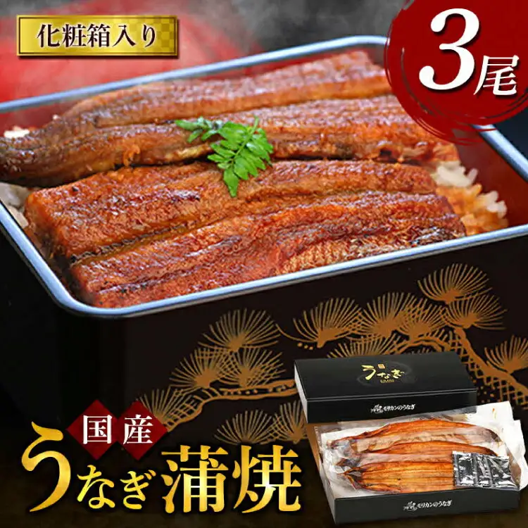 うなぎ 国産 うなぎ蒲焼き 3尾 [モリカン 徳島県 北島町 29bh0002]