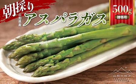 【山形の極み】贈答用 山形県産 朝採り アスパラガス 500g 2026年4月下旬頃から順次発送 F2Y-6843