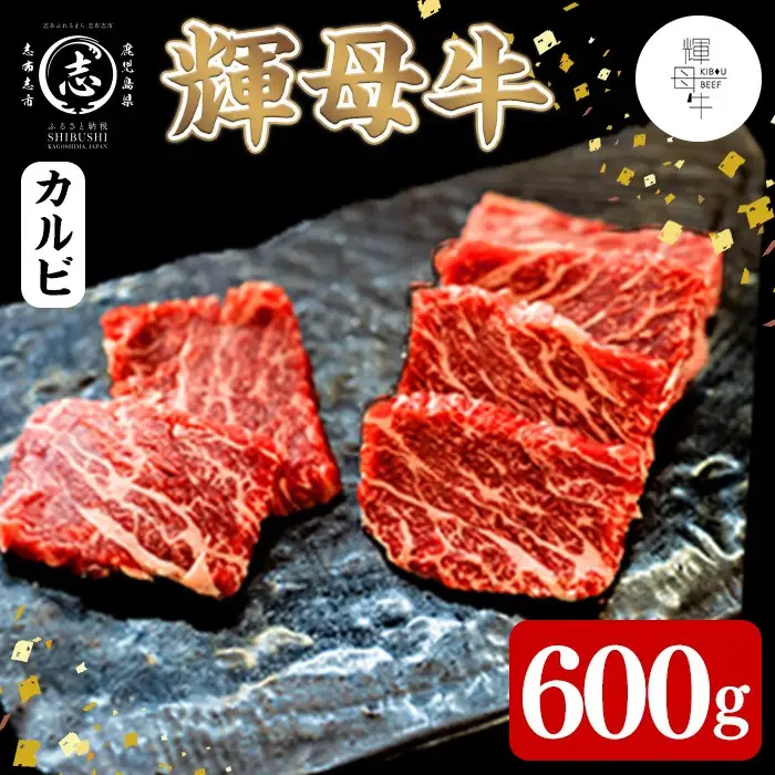 輝母牛焼肉用(カルビ)(3人前600g/600g×1個) b9-005