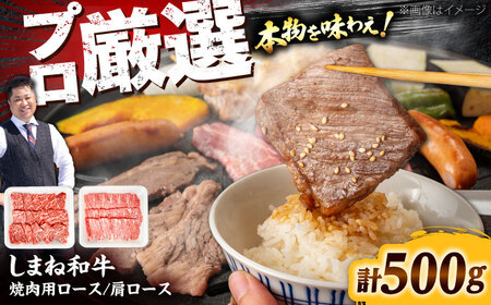 しまね和牛焼肉用ロース/肩ロース500g（各250g×1）[AIEF011]