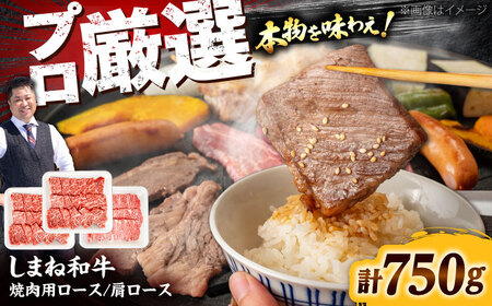 しまね和牛焼肉用ロース/肩ロース750g(各250g×1P＋おまかせ1P)  [AIEF012]