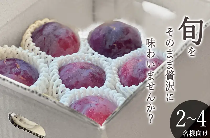 甲州市産 貴陽 約1kg（5～7個入）自然農法【2026年発送】（BNC）B15-492 すもも フルーツ