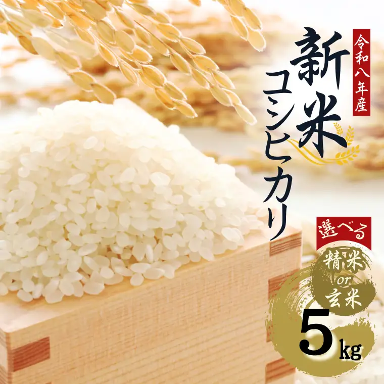【令和８年産】先行予約受付中！水野農園の加須市北川辺産　コシヒカリ　5㎏　《選べる！精米or玄米》｜お米　米　令和８年　こしひかり　新米