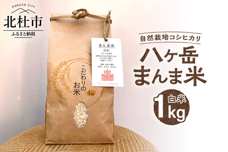 【令和7年度米】八ヶ岳　まんま米　白米1kg（手植え・手刈り・天日干しの自然栽培コシヒカリ） [h359]